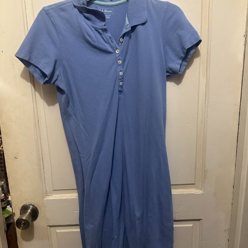 Casual Comfort: L.L. Bean Blue Dress